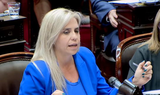 Nancy Picón en Diputados: “Por la educación, la discapacidad, los jubilados y la universidad, nuestro voto siempre será a favor” Nancy Picón en Diputados: “Por la educación, la discapacidad, los jubilados y la universidad, nuestro voto siempre será a favor”