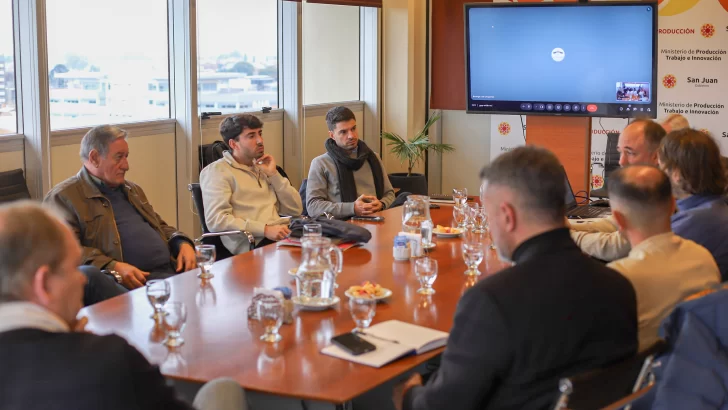 Cámaras vitivinícolas sanjuaninas exigirán controles contra la polilla de la vid: cómo aplicarán el plan