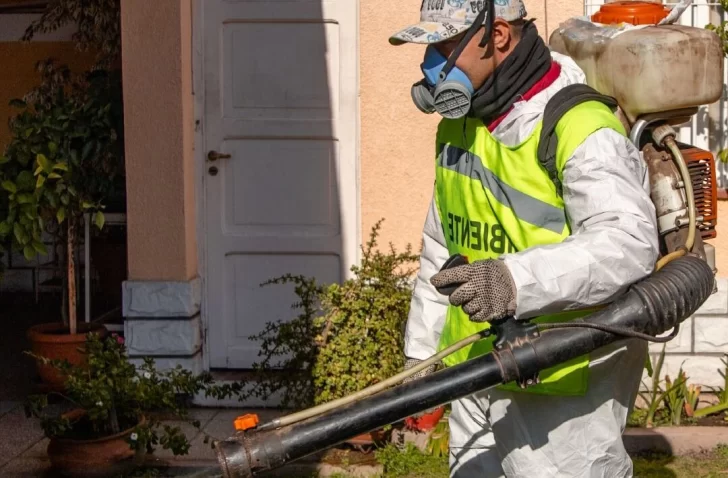 Todo lo que tenés que saber del cronograma de desinsectación, desratización y despeje de luminarias en Capital