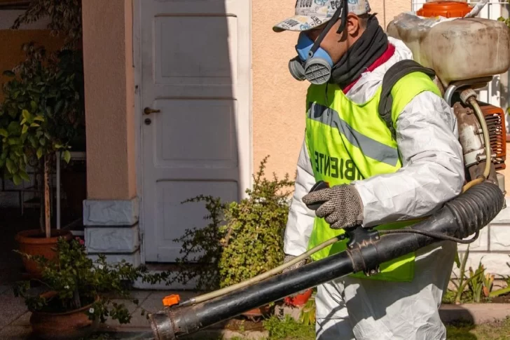 Todo lo que tenés que saber del cronograma de desinsectación, desratización y despeje de luminarias en Capital