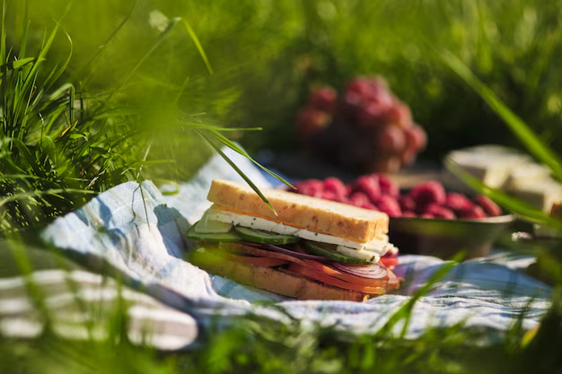 Cómo preparar el mejor sándwich para el picnic del día de la Primavera: 10 recetas que no fallan