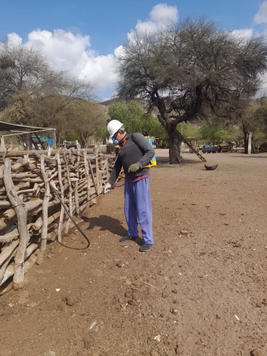 Valle Fértil contra la vinchuca: arrancaron los operativos de fumigación a domicilio