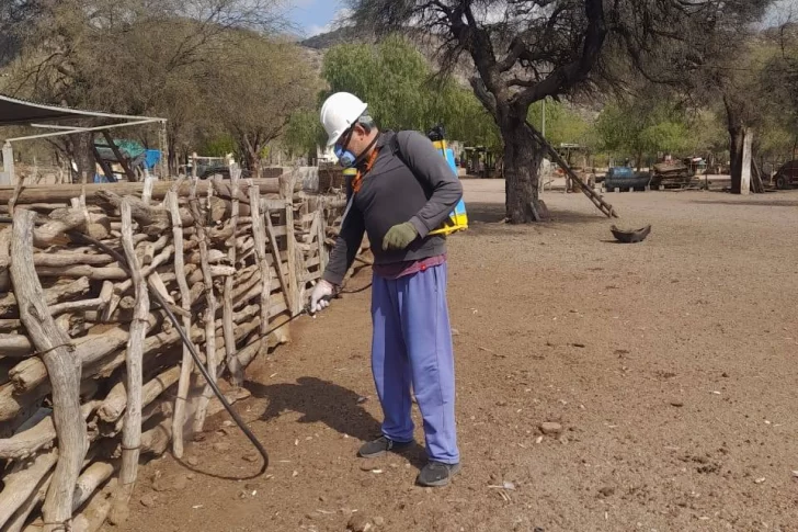 Valle Fértil contra la vinchuca: arrancaron los operativos de fumigación a domicilio
