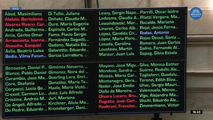 votos-senado-discapacidad-728x410