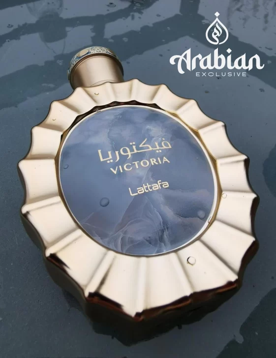 12-561x728 12-561x728