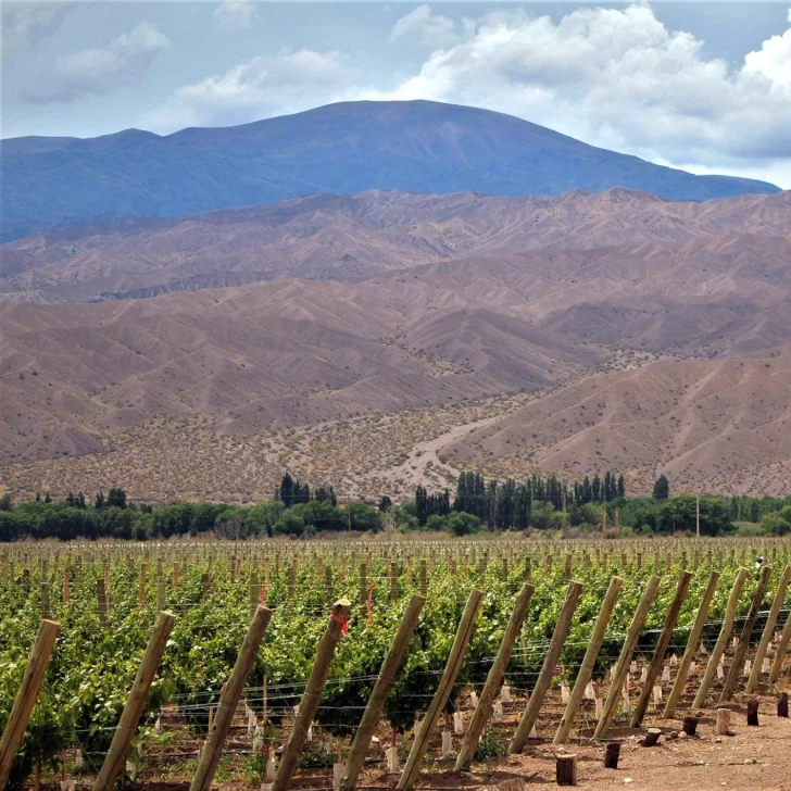 466130324_9098205630203400_5940437825825151863_n-728x728 466130324_9098205630203400_5940437825825151863_n-728x728