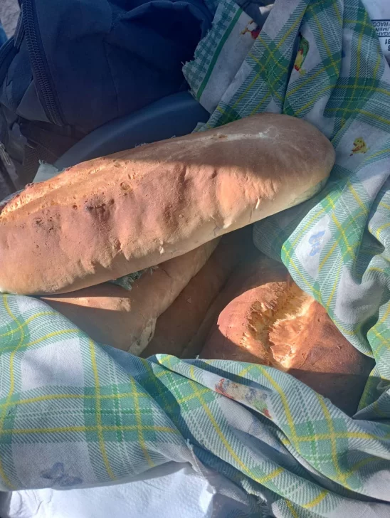 485289741_643982531721540_3794503466155152102_n-1-548x728