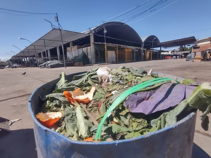 En San Juan se tiran más de 125 toneladas mensuales de frutas y verduras que ya no sirven para consumo humano