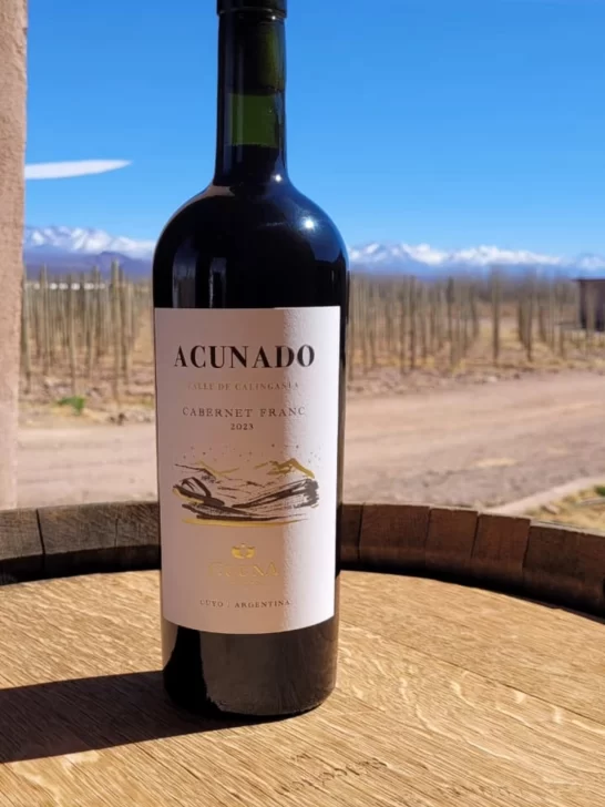 539561998_10165841588708496_2755304272454190841_n-546x728 539561998_10165841588708496_2755304272454190841_n-546x728