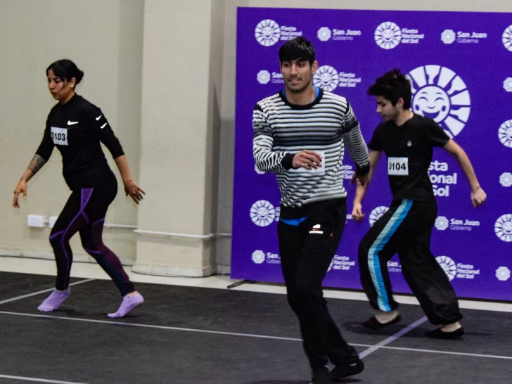 Se inscribieron más de 1100 artistas en el casting para la FNS 2025