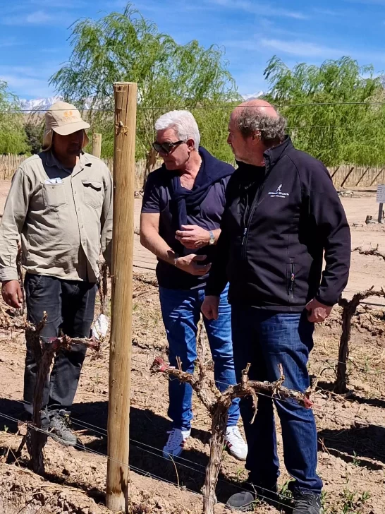 550698499_831549919198883_5451247586666029453_n-546x728 550698499_831549919198883_5451247586666029453_n-546x728