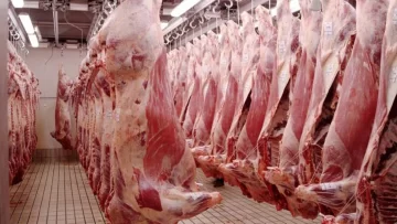 Estados Unidos cuadruplicó la cuota para importar carne vacuna desde Argentina
