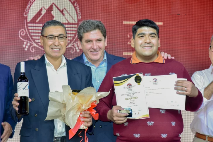 Concurso Nacional Cata San Juan 2025: cinco vinos sanjuaninos galardonados con el Gran Oro Concurso Nacional Cata San Juan 2025: cinco vinos sanjuaninos galardonados con el Gran Oro