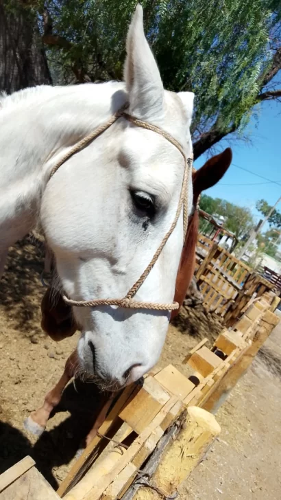 700fb172-7d32-4665-8e5b-04f968a357b5-410x728 700fb172-7d32-4665-8e5b-04f968a357b5-410x728