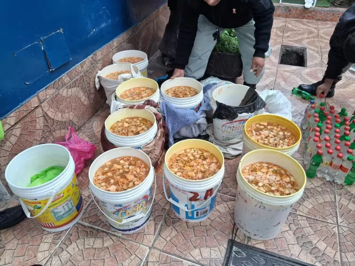 76f5adf4-ae1a-47db-8132-c6434424fd1c-728x546