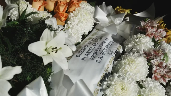 7c0a68fd-c44a-4245-9dc2-493e37647cf3-728x410