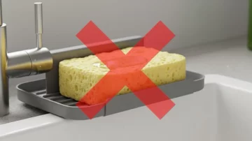 Nueva forma de guardar las esponjas: más práctica y 100% higiénica Nueva forma de guardar las esponjas: más práctica y 100% higiénica