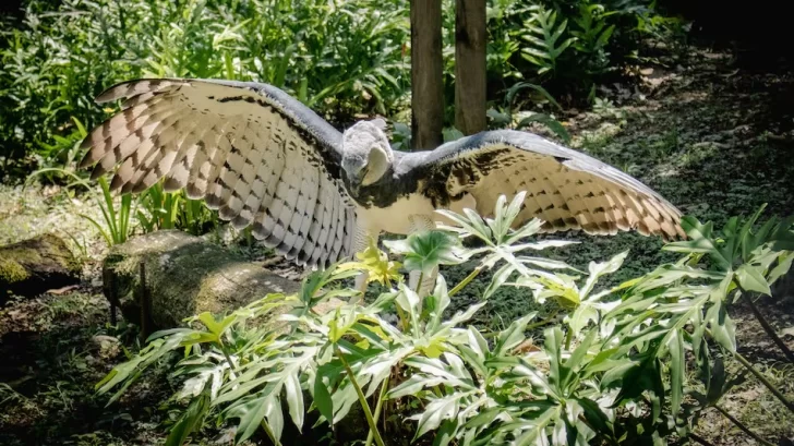 84cad78a-e22e-4f43-9600-1c01cef4e04a-728x409