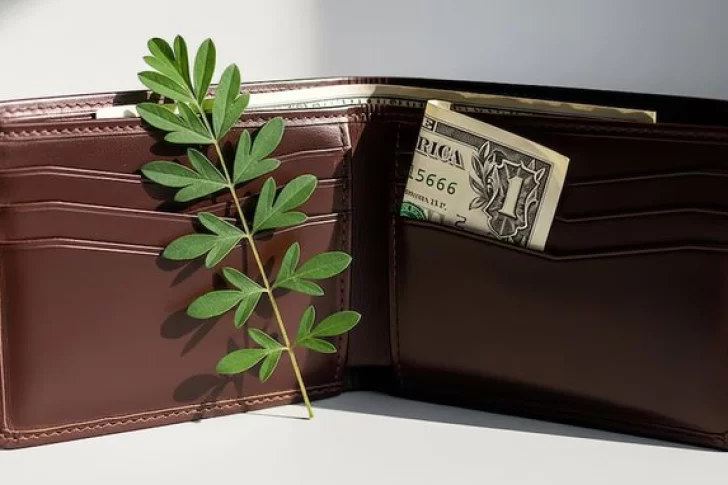 Este es el billete que deberías guardar en tu billetera si querés atraer dinero