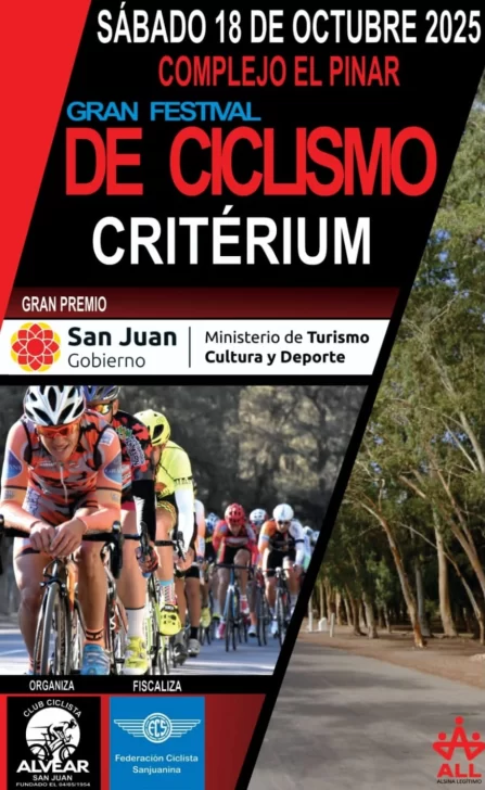 CRITERIUM-PINAR-447x728