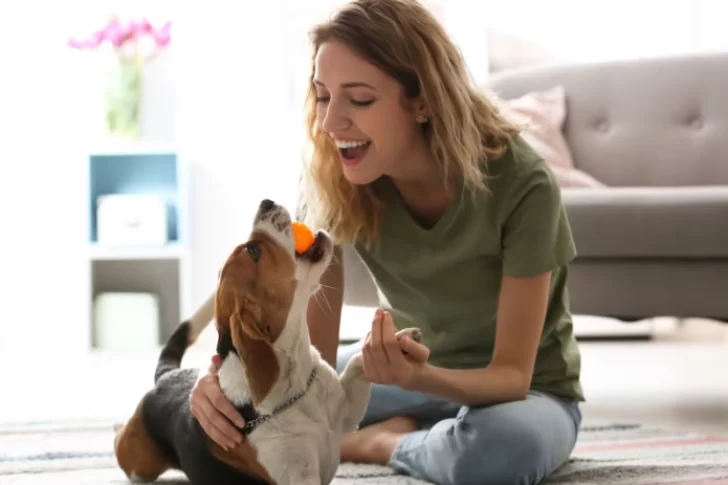 ¿Qué siente tu perro cuando le hablás con tono de bebé?