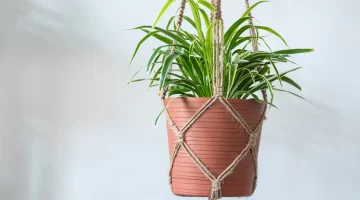 Captura-de-pantalla-2025-10-15-202210-728x405