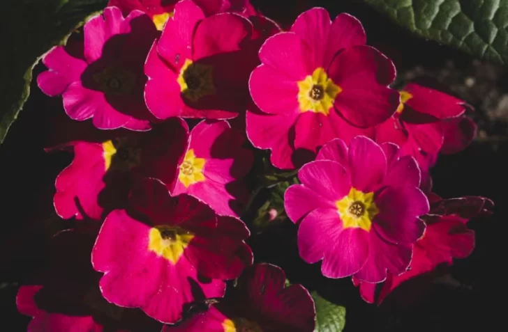 Captura-de-pantalla-2025-10-16-102822-728x477