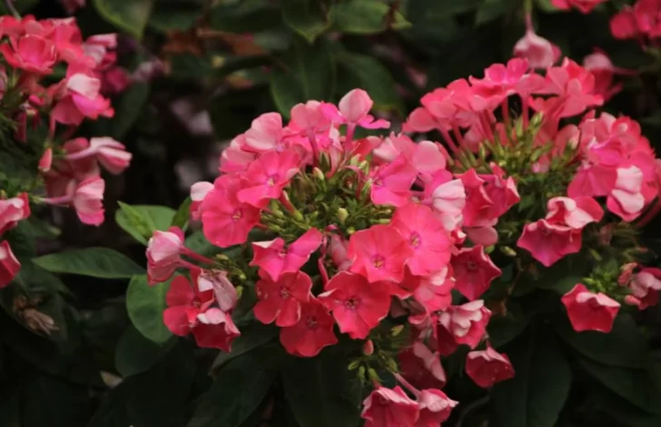 Captura-de-pantalla-2025-10-16-102847-728x470