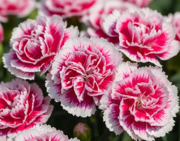 Captura-de-pantalla-2025-10-16-103018-728x571