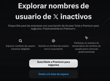 Captura-de-pantalla-2025-10-20-174443-728x536