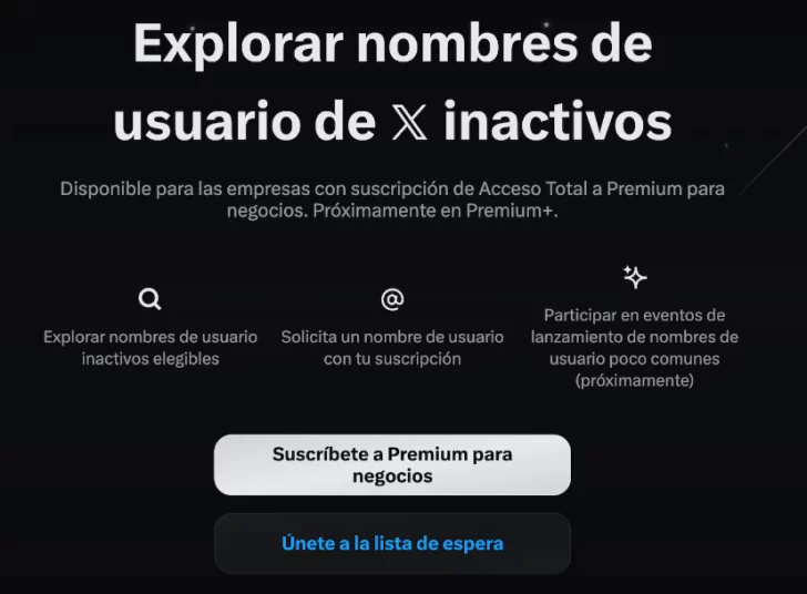 Captura-de-pantalla-2025-10-20-174443-728x536