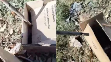 Captura-de-pantalla-2025-10-21-152344-728x406