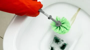 Captura-de-pantalla-2025-10-21-153327-728x410