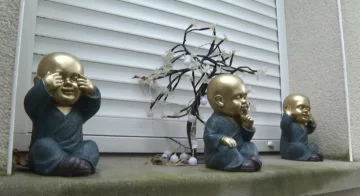 Captura-de-pantalla-2025-10-24-100837-728x396