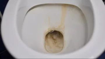 Pocos lo saben: el método nocturno que limpia el inodoro sin que hagas nada Pocos lo saben: el método nocturno que limpia el inodoro sin que hagas nada