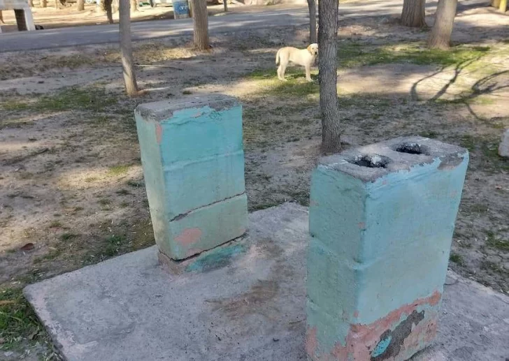 DCC021025-005F03-728x517