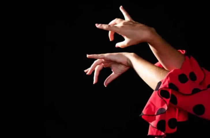 Danza-flamenca-728x479 Danza-flamenca-728x479