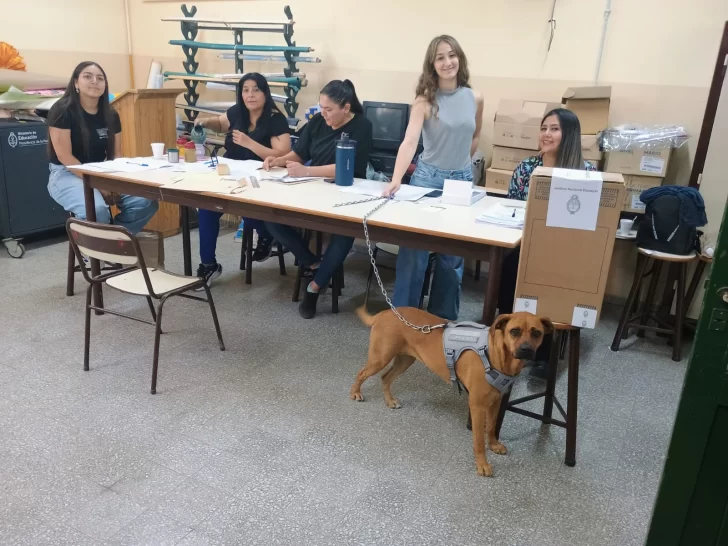 Doris-la-perra-protagonista-elecciones-728x546