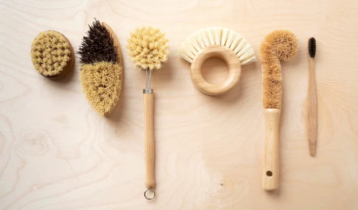 ESPONJAS-NUEVAS-728x427