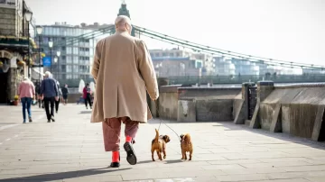 Una ciudad de Italia aplicará tarifas a los ingresen con su mascota