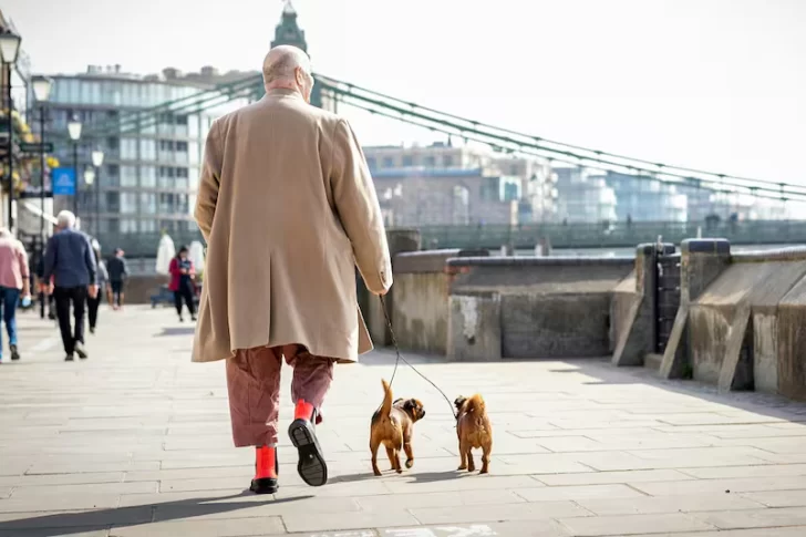 Una ciudad de Italia aplicará tarifas a los ingresen con su mascota