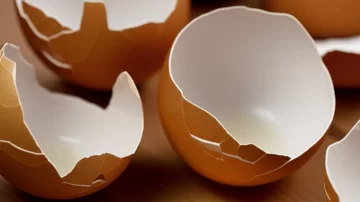 Pocos lo saben: para qué sirve meter cáscaras de huevo en el lavarropas Pocos lo saben: para qué sirve meter cáscaras de huevo en el lavarropas