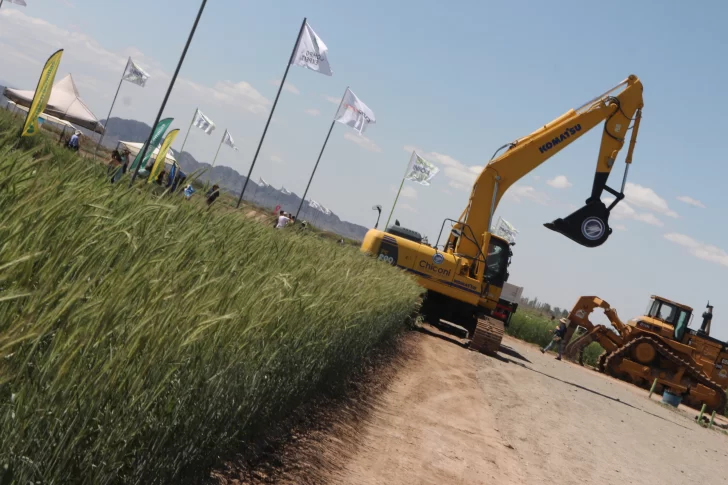 Con más de 200 expositores, la Expo Innova Cuyo comenzó a lo grande en Pocito