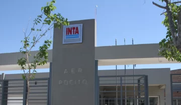 Pistacho, vid y recursos hídricos, algunos de los temas que investigará el INTA con los fondos locales