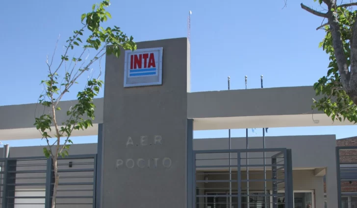 Pistacho, vid y recursos hídricos, algunos de los temas que investigará el INTA con los fondos locales