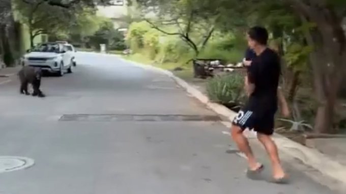 El video del aterrador momento de Ángel Correa y su familia cuando encontraron un oso en la puerta de su casa