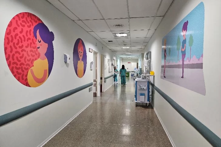 La Legislatura aún no trata dos proyectos de ley que ingresaron hace más de un año sobre un tema prioritario para madres que tienen un parto prematuro