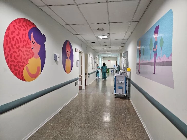 La Legislatura aún no trata dos proyectos de ley que ingresaron hace más de un año sobre un tema prioritario para madres que tienen un parto prematuro