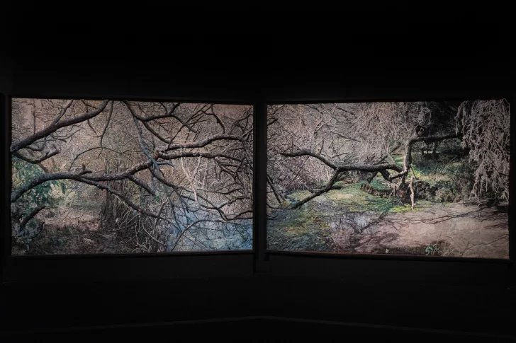 MONDONGO-APERTURA-3-728x485