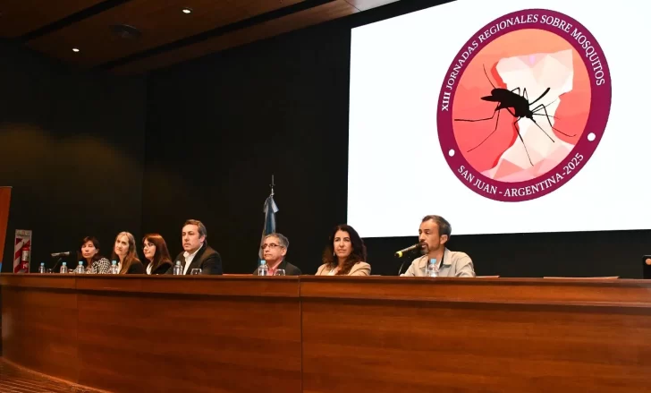Guerra al mosquito: por primera vez en San Juan, más de 100 especialistas comparten estudios y avanzan en estrategias de control